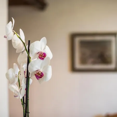 La Casina Di Radi *